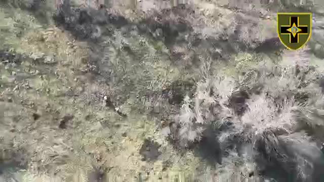 Drone Footage Shows Russians in a Panic