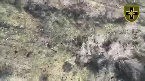 Drone Footage Shows Russians in a Panic