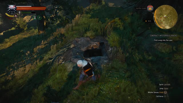 Witcher 3 - Contract Mysterious Tracks (Find A Way Into The Cave)