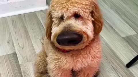 El mejor filtro hasta ahora