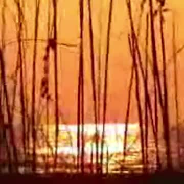 Happy New Year 2023!