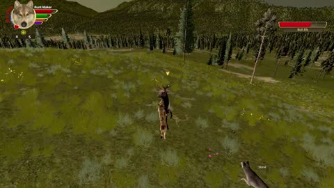 Mimic's Wolfquest AE all single player achievements - 18