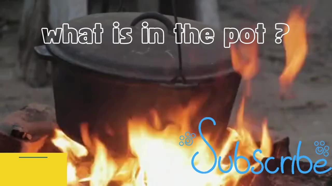 what is in the pot? Write it in the comments