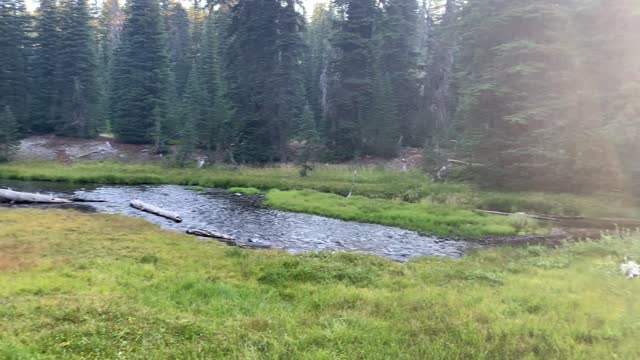 Central Oregon - Three Sisters Wilderness - Creek Running Through Meadow