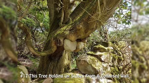 Unbelievable Examples Of Things Being Worn Down Over Time