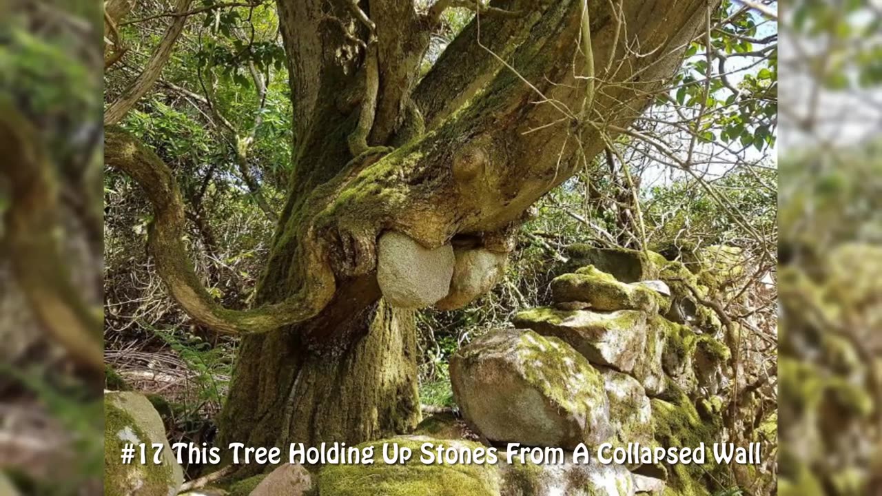 Unbelievable Examples Of Things Being Worn Down Over Time