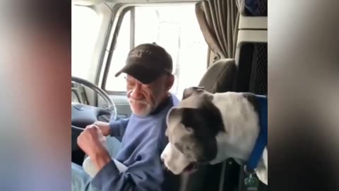 Funny animals - Part 6