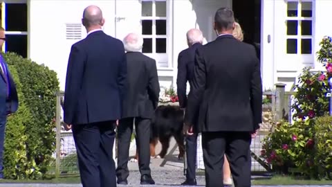 [IRELAND] Irish Dog Warns Biden Away from His Home