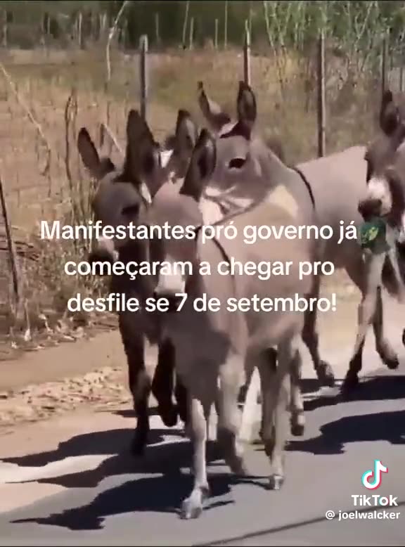 Manifestantes chegando em Brasília para o 7 de setembro
