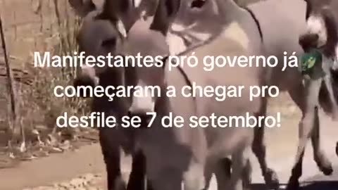 Manifestantes chegando em Brasília para o 7 de setembro