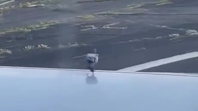 Enjoying window seat