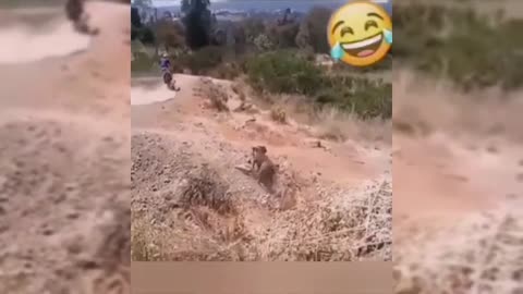 موقف مضحك