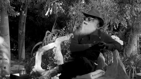 Jaggi Vasudev is a Malignant Narcissist