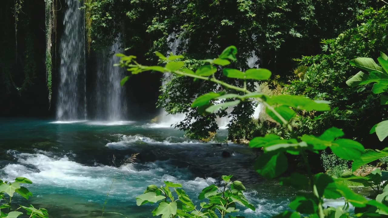 CALM YOUR MIND,STRESS FREE MUSIC,DEEP SLEEP MUSIC,DEPRETION FREE MUSIC,