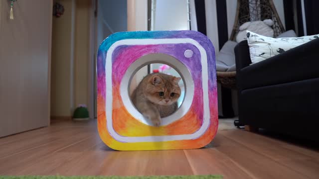 How I got into Instagram