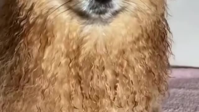 Bath time 🛀