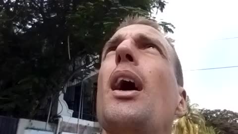 Donald Trump Must Get Shredded! (Ripped)