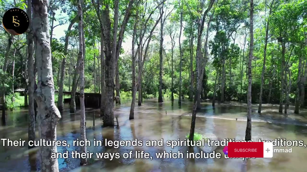 Amazon Rainforest: The Lungs of the Earth