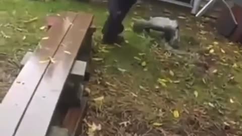Another girl saved