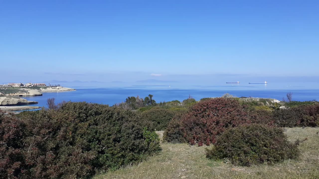 Stunning Sea and vegetation