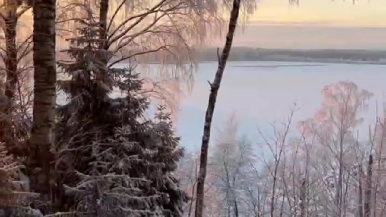 How beautiful are the landscapes of the Leningrad region in winter