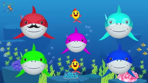 Baby Shark_Animal Dance Songs