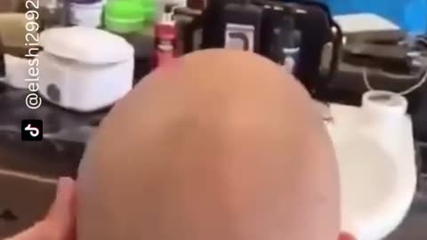 funny human fails