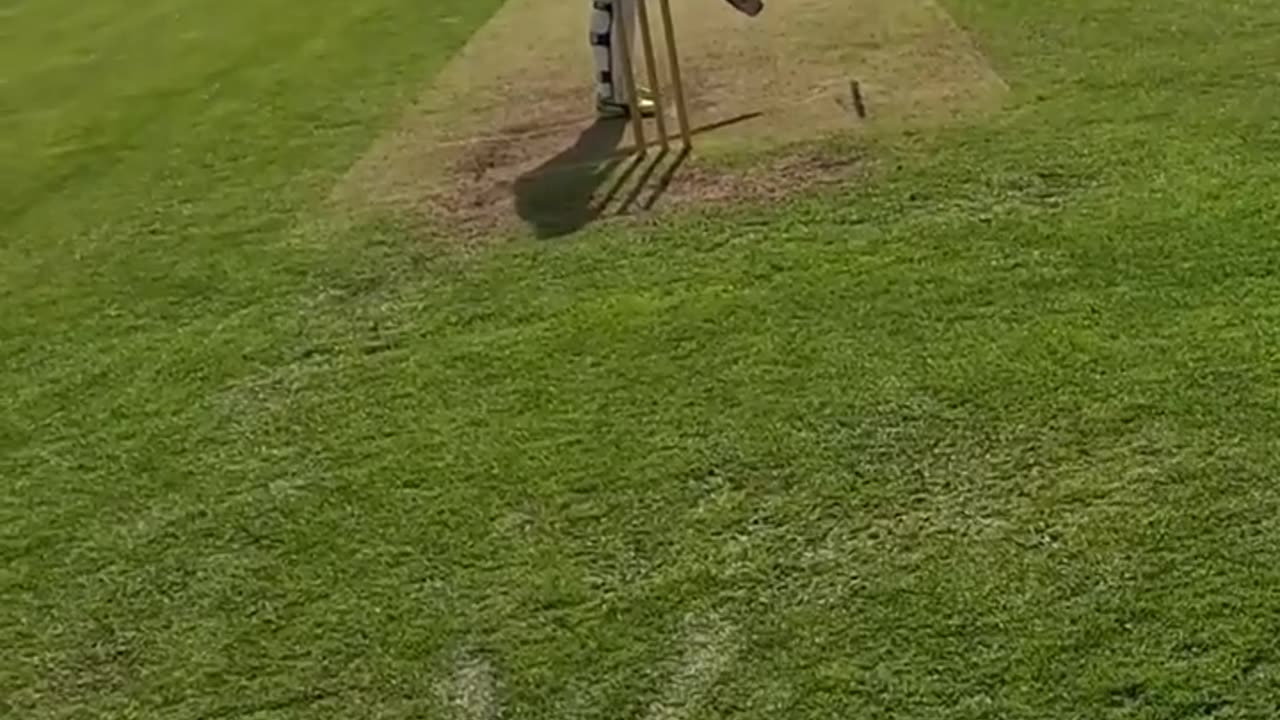 5 wicket houl || Brilliant Bowling #cricket #wicket