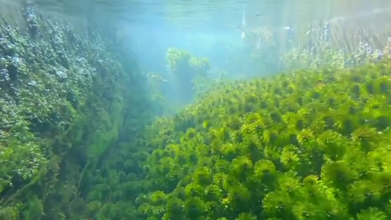 How look underwater Beauty