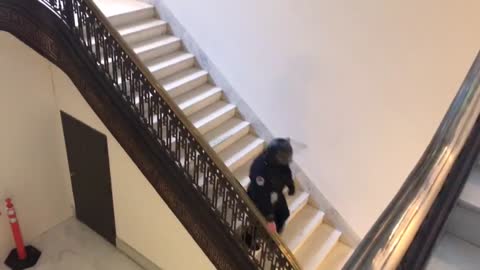 Shots fired on Capitol Hill