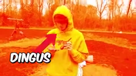 mr beast spent 50 hours buried alive