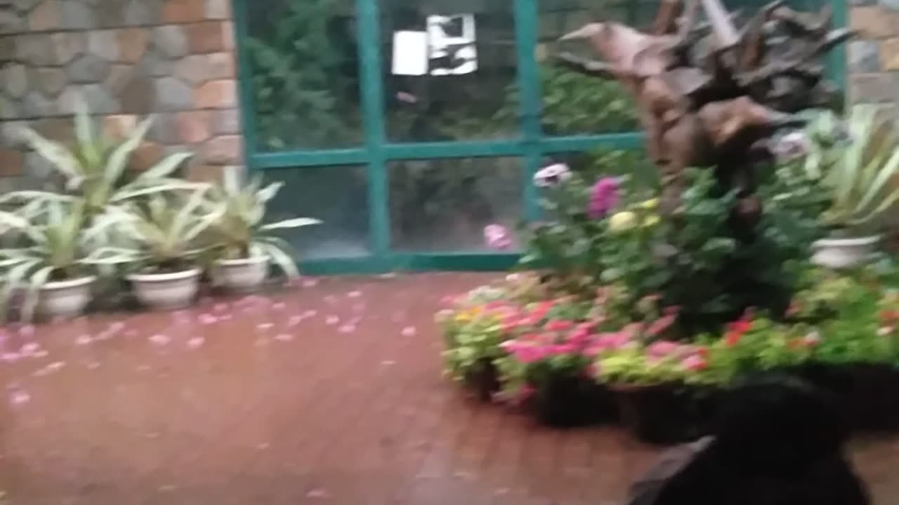nature beauty and nature lover in this time / indian culture