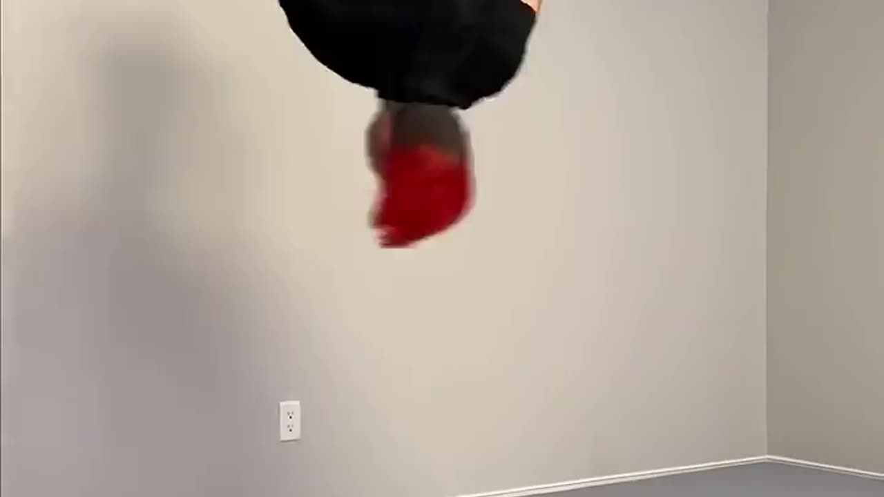 Flipping to 10M Subscribers 🏆