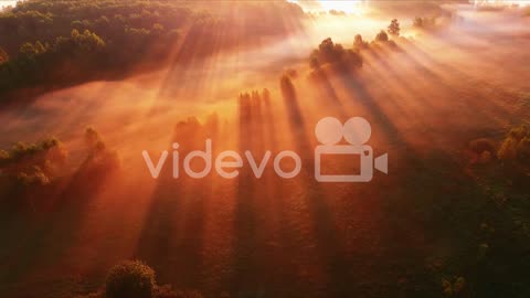 Bird's eye view of colorful orange sunrise on valley with trees covered with fog