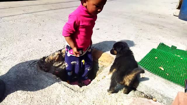 Small Cute Pappy playing with Cute girl