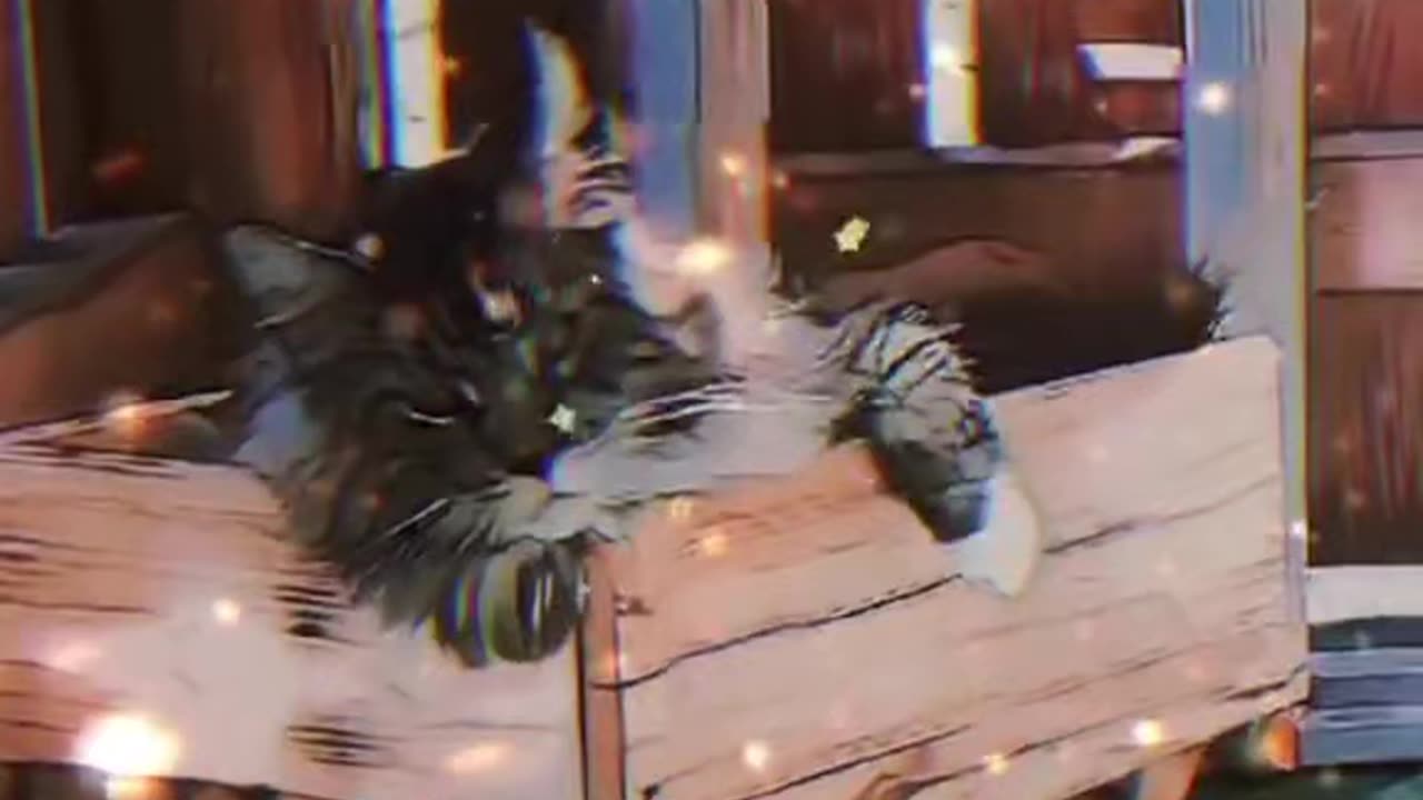 Just my cat