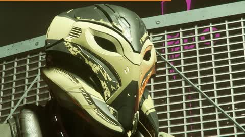 Star Citizen Subscriber Flair 86 - Sakura Sun Mandable Helmets