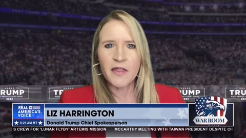 Liz Harrington: Everything going on in New York today is about our elections.