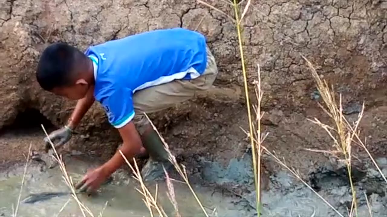 My Southeast Asia Life - Guess what weird thing we found in the pond!