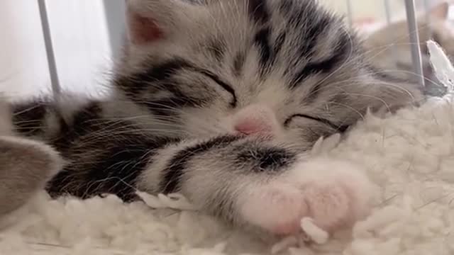 The little is sleeping😴😴