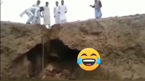 Funny video🤣