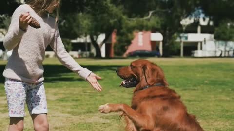 Girl playing cute dog