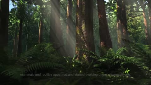 the whole history of earth and life in earth