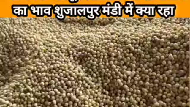 Soybean mandi rate today