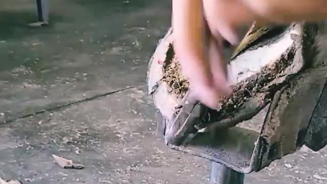 cleaning horse hooves that grow untidy