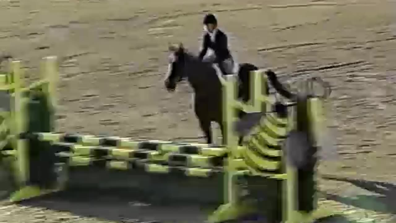 1995 IHJA