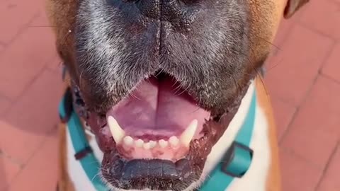 Do you think I’m cute