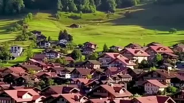 Enjoy the peace