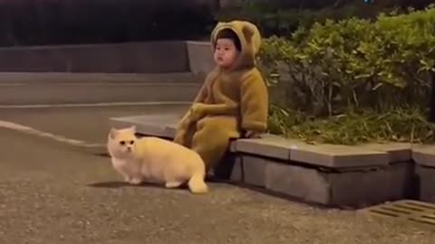 Lost kitty with the Baby