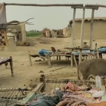 Village life stlye #villagelife #shortvideo#shortsfeed